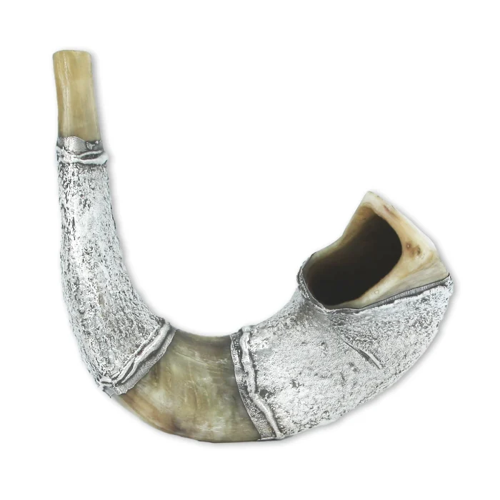 Shofar - Ram's Horn with Silver, Star of David, Jerusalem - Image 2